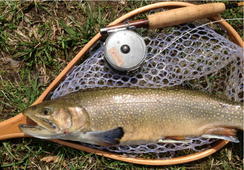 Best Ohio Fishing Club…Period Briarwood Sporting Club