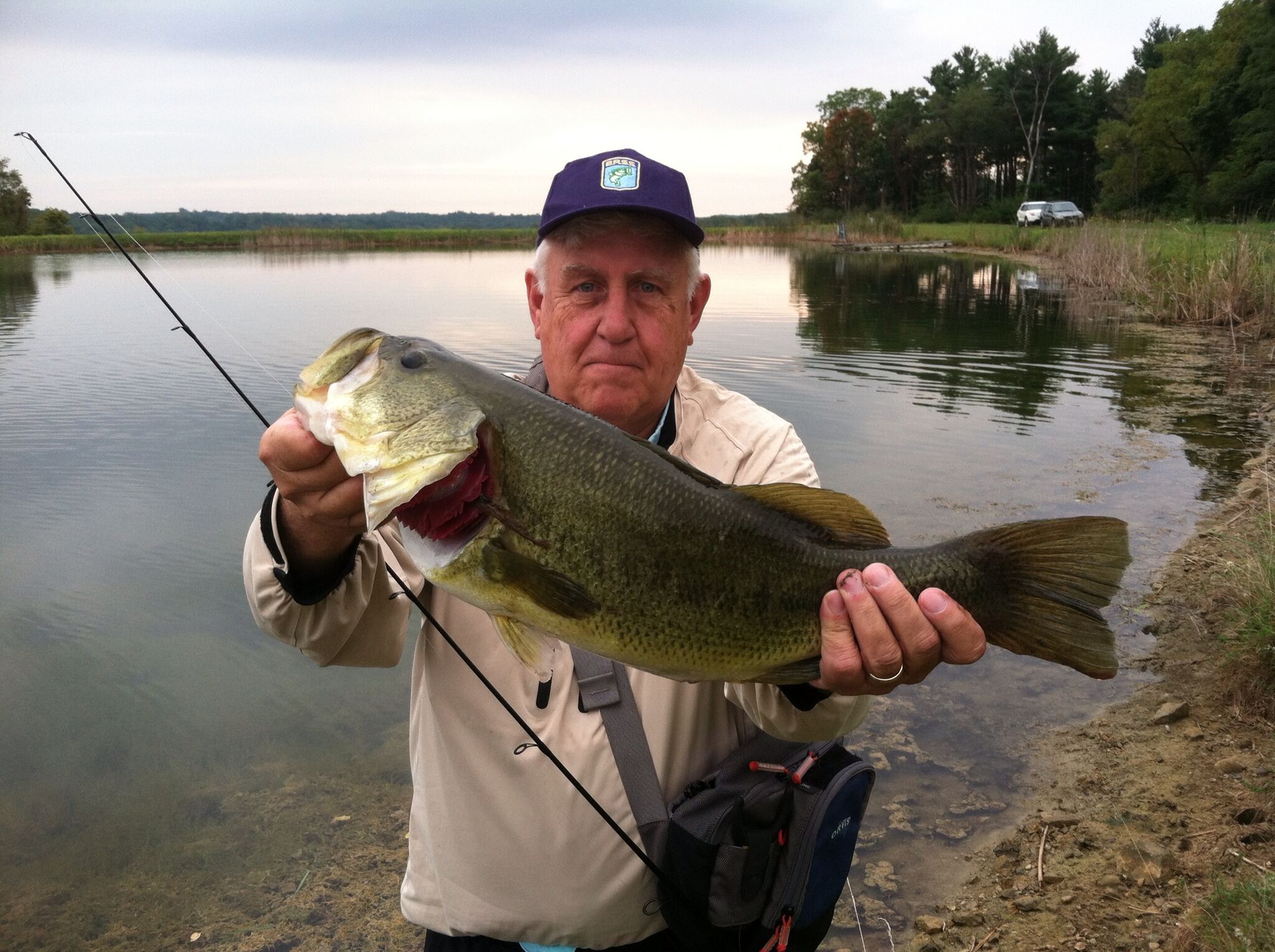 Fishing for Spawning Bass, Approaches That Work in Lakes