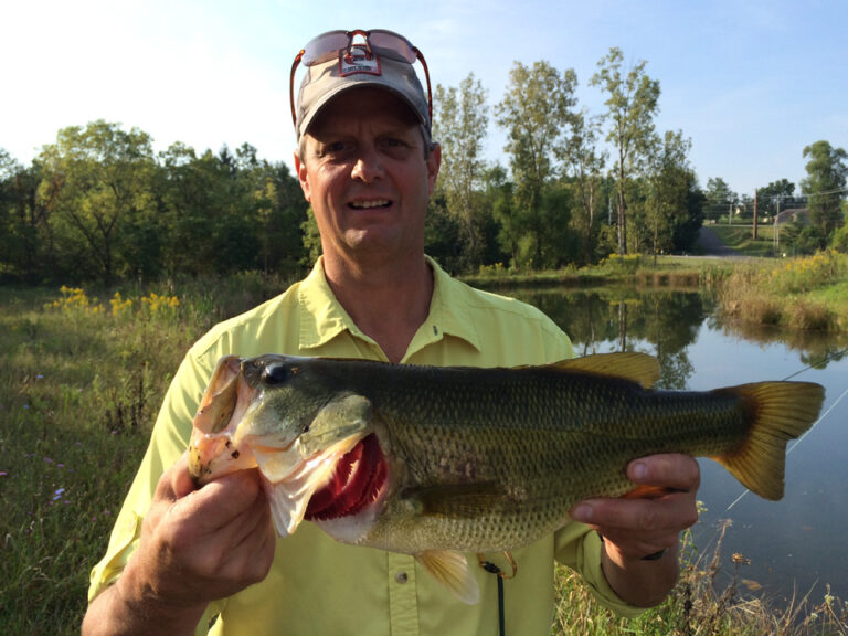 largemouth bass spawning facts Archives Briarwood Sporting Club
